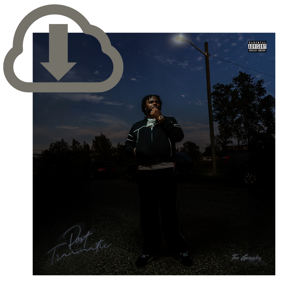 Post Traumatic - Digital Download